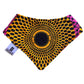 Peacock Pride Bandana Bib
